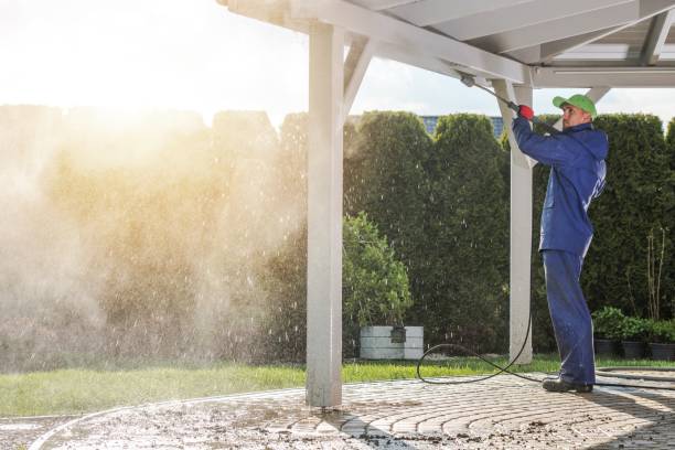 Best Driveway Pressure Washing  in Mount Dora, FL